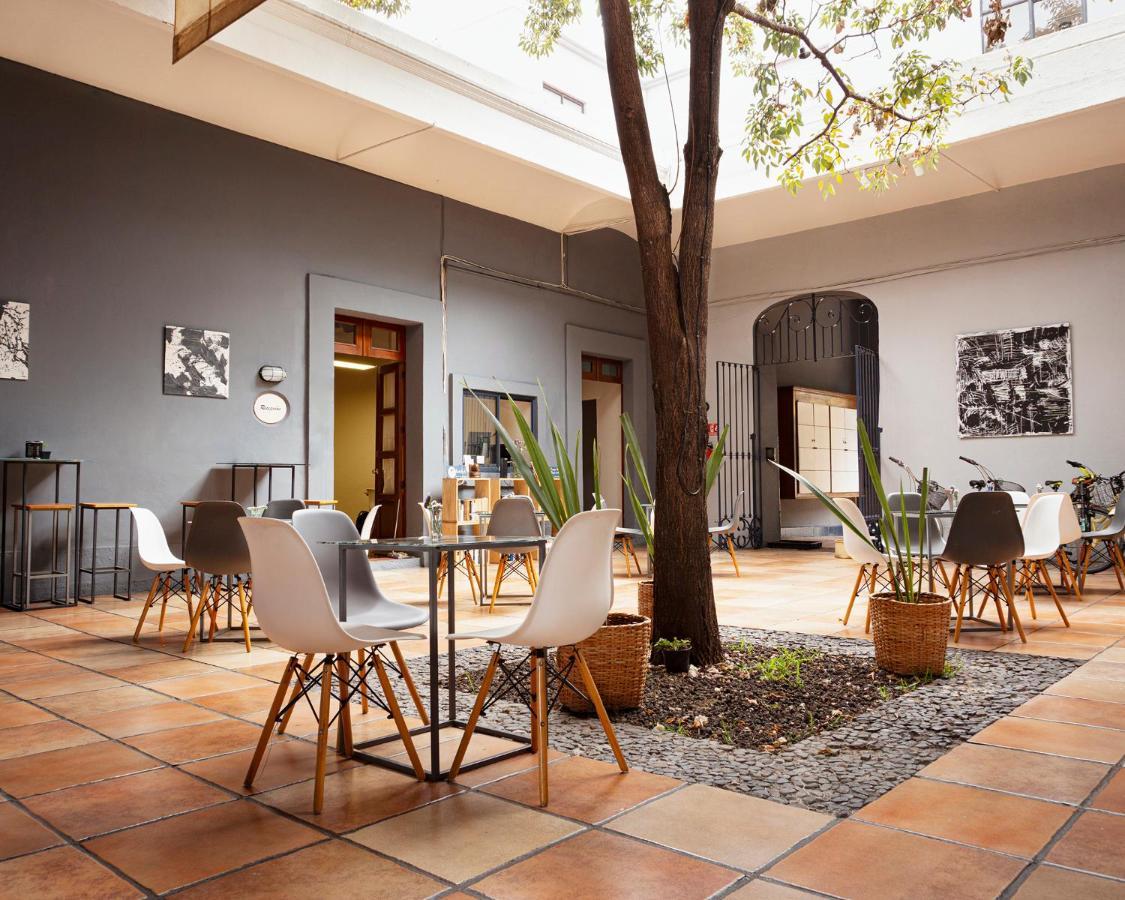 Bkl Hotel Oaxaca ภายนอก รูปภาพ