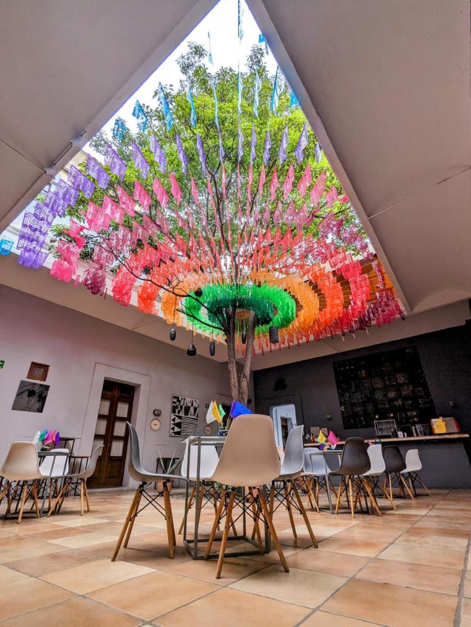 Bkl Hotel Oaxaca ภายนอก รูปภาพ